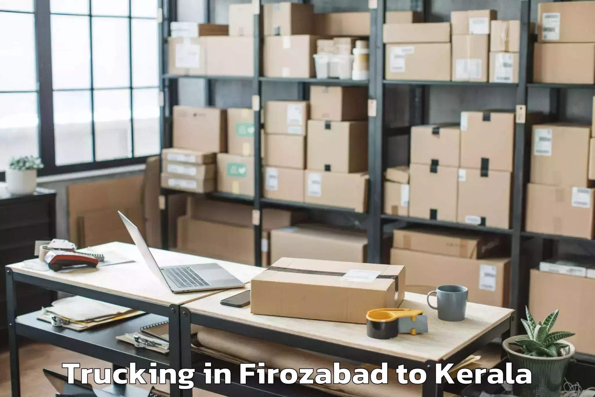 Top Firozabad to Neyyattinkara Trucking Available